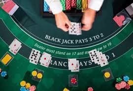 Tampilan modern platform Live Casino bet6d yang responsif di berbagai perangkat